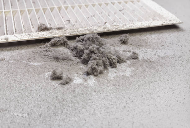 Best Home Air Vent Cleaning  in Foley, AL