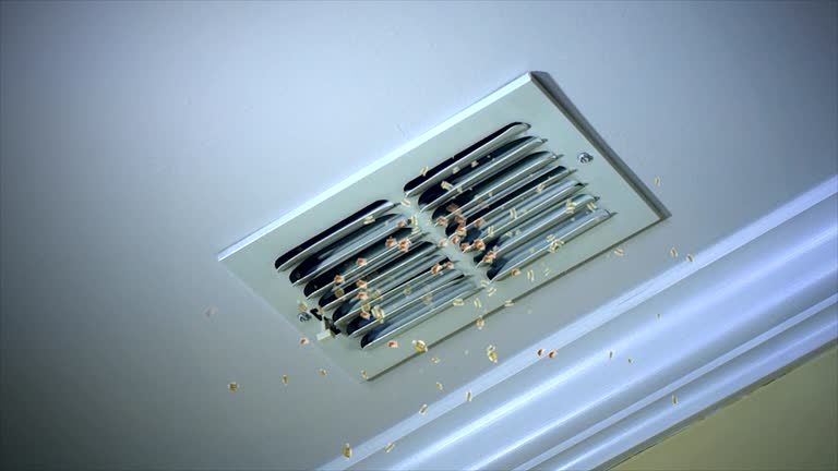 Air Duct Mold Removal in AL