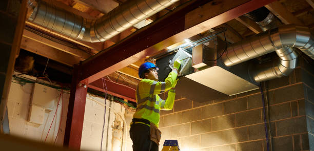 Best Air Duct Mold Removal  in Foley, AL