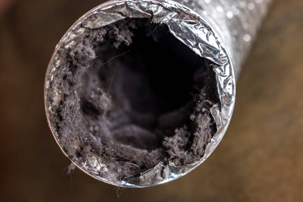 Best Air Duct Cleaning Company Near Me  in Foley, AL