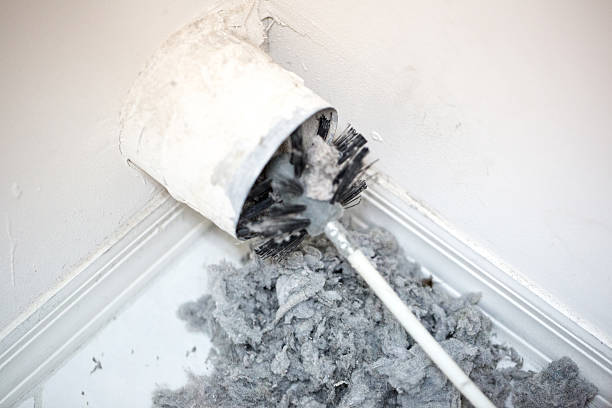Best Affordable HVAC Duct Cleaning  in Foley, AL